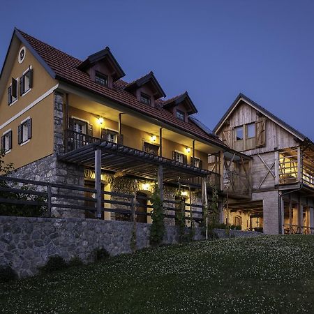 Guest House Kalska Domacija Semic Buitenkant foto
